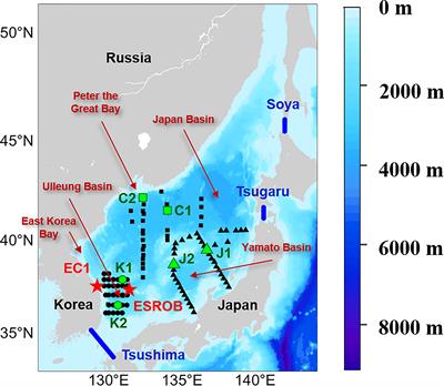 Frontiers | Long-term mean circulation in the Japan Sea as reproduced